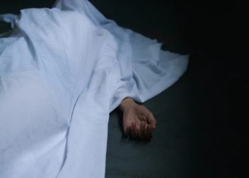 Foto: Shutterstock.com/thanun vongsuravanich