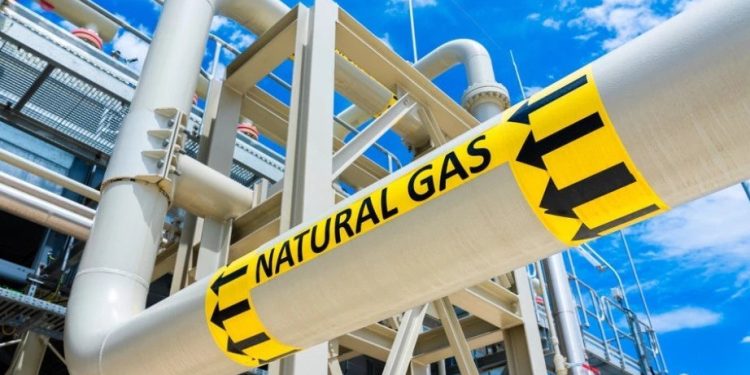 Foto: Shutterstock.com/sdf_qwe, ilustracija