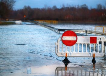 Foto: Shutterstock.com/FotoDax/Ilustracija