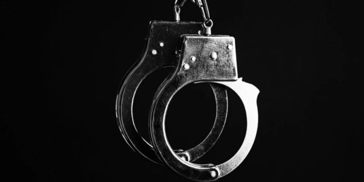 Foto: shutterstock.com/New Africa, ilustracija