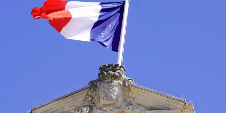 Foto: Shutterstock.com/sylv1rob1, ilustracija