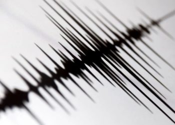 Foto: Shutterstock.com/MuhsinRina, ilustracija