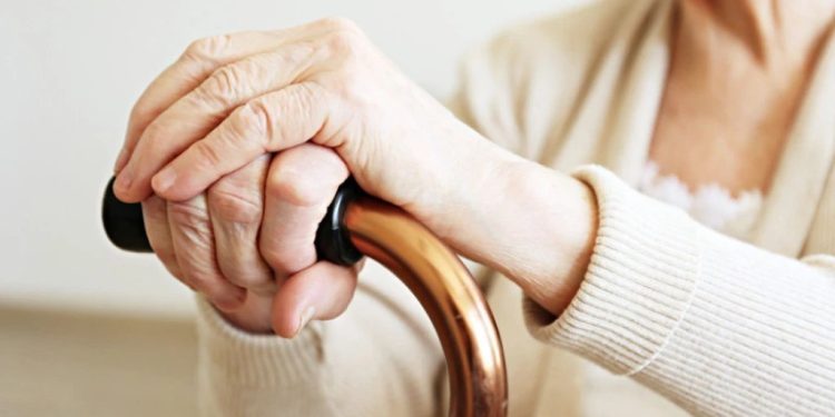 Foto: Shutterstock.com/evrymmnt