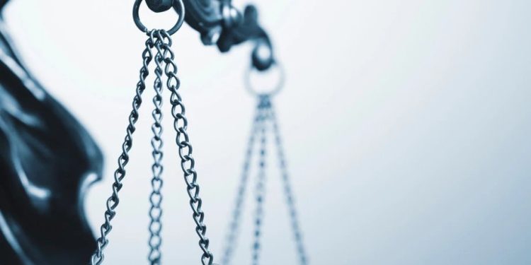 Foto: Shutterstock.com/Sergii Gnatiuk, ilustracija