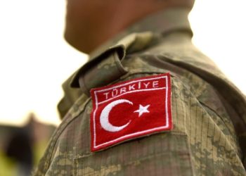 Foto: Shutterstock.com/Bumble Dee