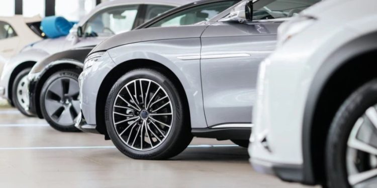 Foto: Shutterstock.com/Feelimage