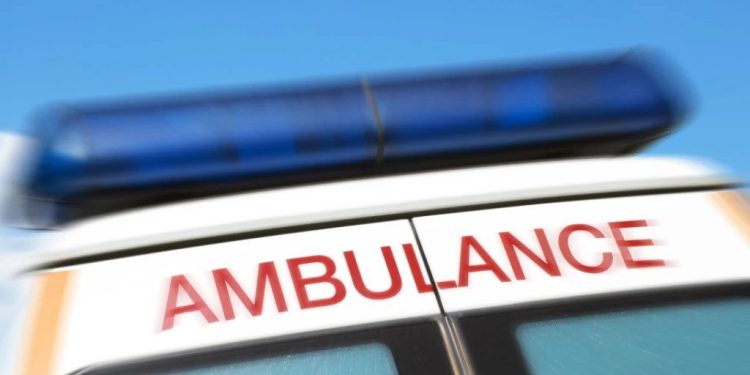 Foto: Shutterstock.com/JaneHYork, ilustracija