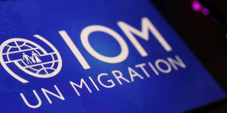 Foto: Shutterstock.com/ Ralf Liebhold, ilustracija