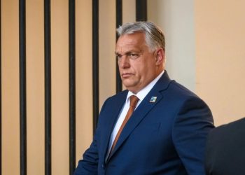 Foto: Shutterstock.com/Gints Ivuskans, arhiva