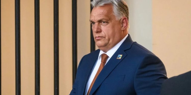 Foto: Shutterstock.com/Gints Ivuskans, arhiva