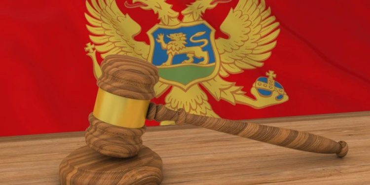 Foto: Shutterstock.com/fredex, ilustracija