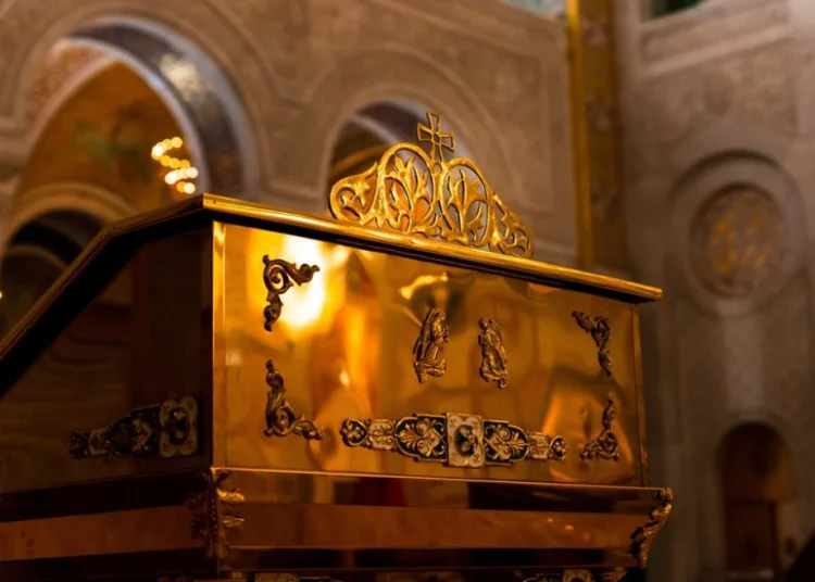 Foto: Shutterstock.com/ArtMediaWorx, ilustracija