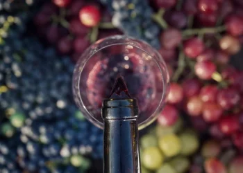 Foto: Shutterstock.com/Stock Holm, ilustracija