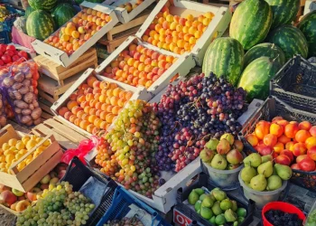 Foto: Shutterstock.com/pdeminhike