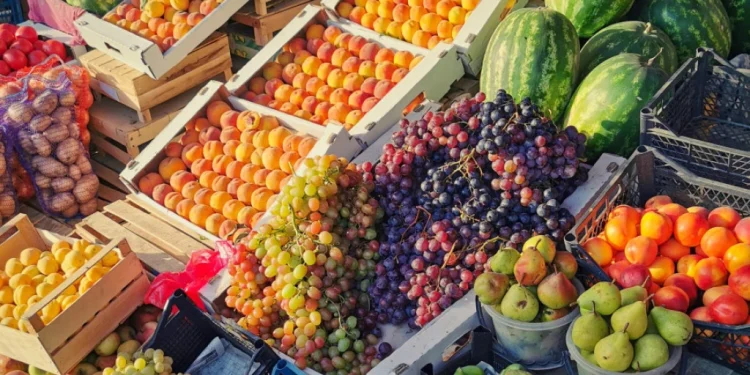 Foto: Shutterstock.com/pdeminhike