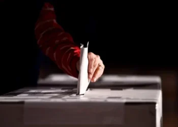 Foto: Shutterstock.com/roibu, ilustracija