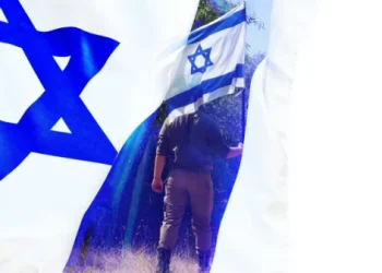 Foto: Shutterstock.com/Shabtay