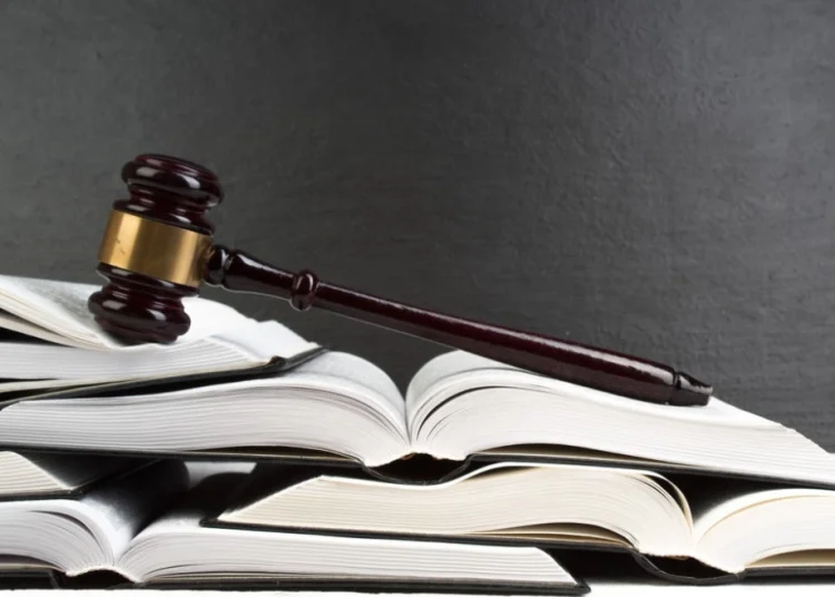 Foto: Shutterstock.com/Lana U, ilustracija