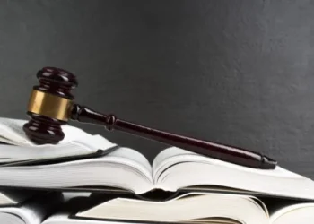 Foto: Shutterstock.com/Lana U, ilustracija