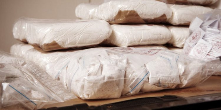 Foto: Shutterstock.com/Couperfield, ilustracija