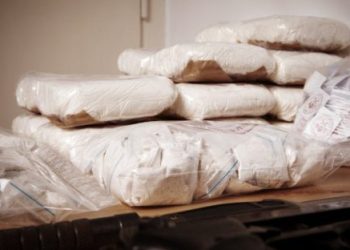 Foto: Shutterstock.com/Couperfield, ilustracija