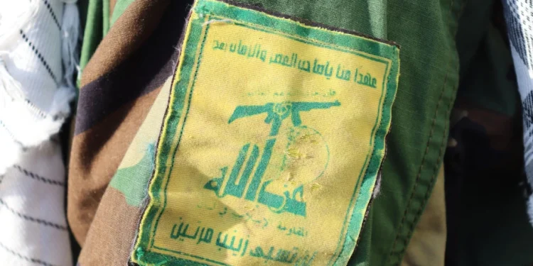 Foto: Shutterstock.com/mohammad kassir, ilustracija