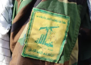 Foto: Shutterstock.com/mohammad kassir, ilustracija