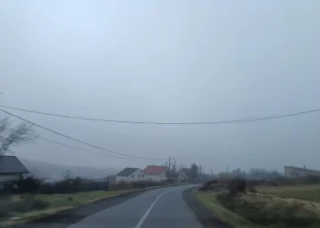 Foto: TANJUG/JELENA SAVIĆ