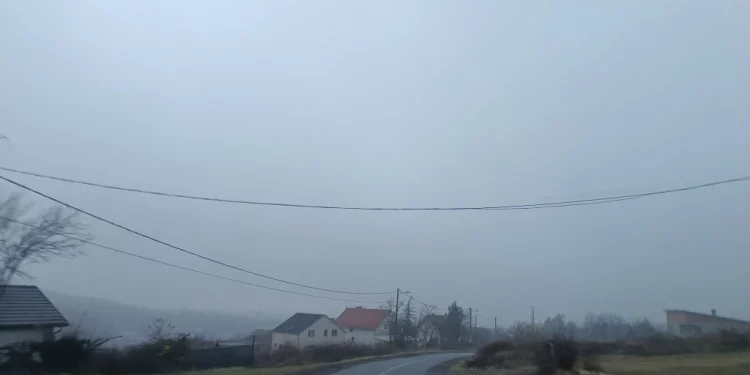 Foto: TANJUG/JELENA SAVIĆ