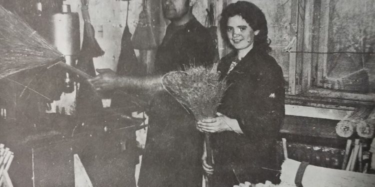 КООПЕРАТИВА ДОО БАЧКИ ПЕТРОВАЦ