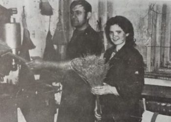 KOOPERATIVA DOO BAČKI PETROVAC