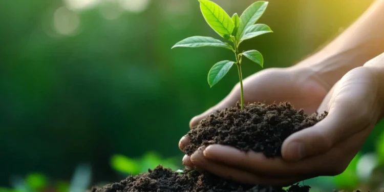 Foto: Shutterstock.com/laponpat maliwan