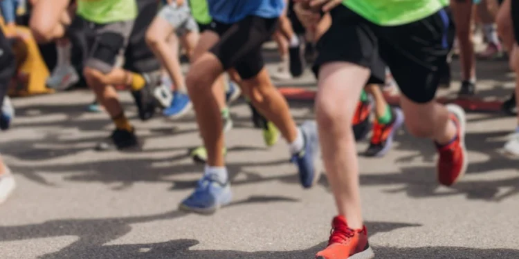 Foto: Shutterstock.com/Tsuguliev, ilustracija