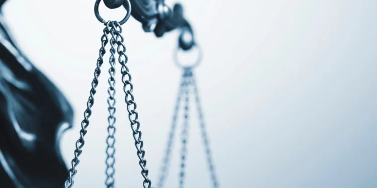 Foto: Shutterstock.com/Sergii Gnatiuk, ilustracija