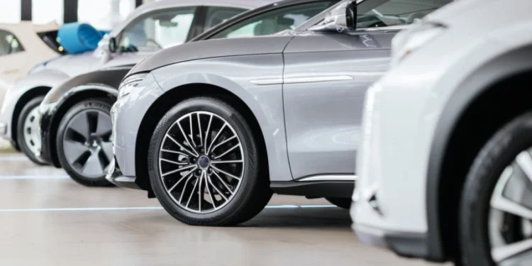 Foto: Shutterstock.com/Feelimage