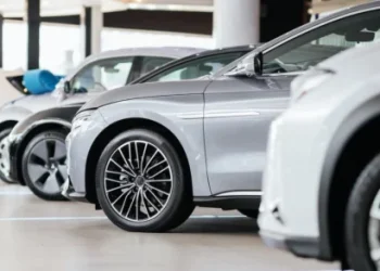 Foto: Shutterstock.com/Feelimage