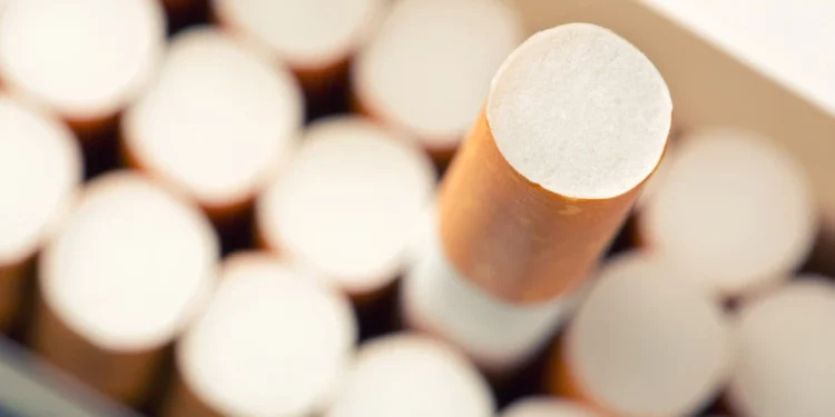 Foto: Shutterstock.com/Nomad_Soul, ilustracija