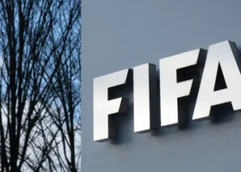 Foto: shutterstock.com/Taljat David, ilustracija