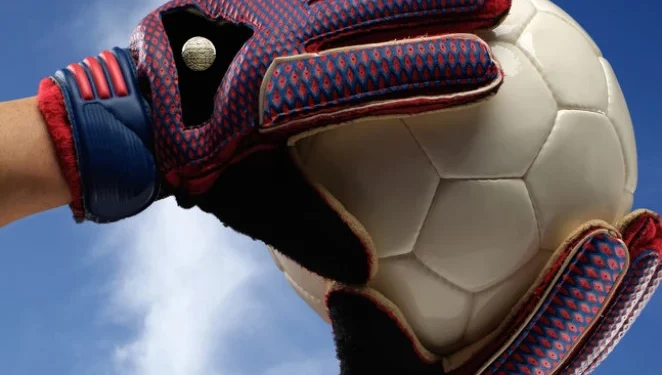 Foto: Shutterstock.com/El Choclo