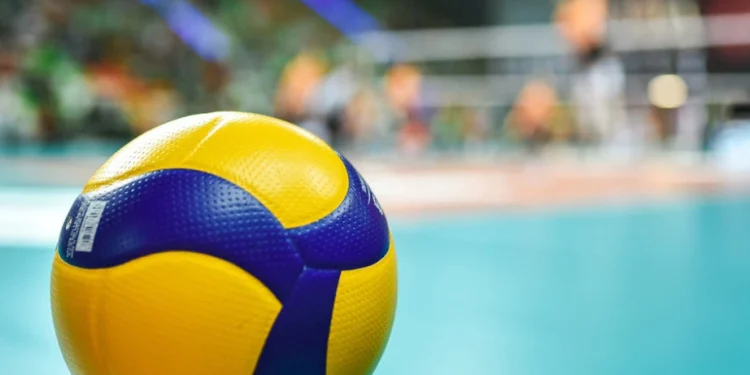 Foto: Shutterstock.com/Dziurek, ilustracija