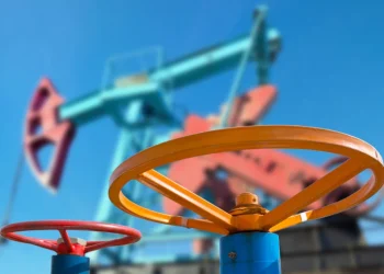 Foto: shutterstock.com/Leonid Ikan, ilustracija