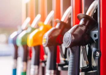 Foto: Shutterstock.com/Quality Stock Arts