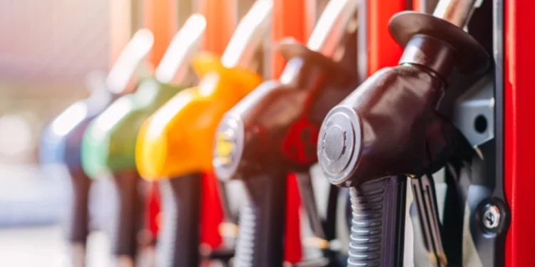 Foto: Shutterstock.com/Quality Stock Arts