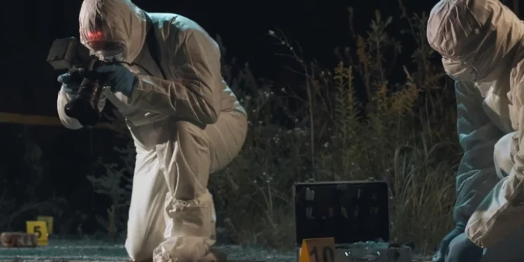 Foto: Shutterstock.com/Borkin Vadim, ilustracija