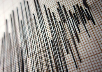 Foto: Shutterstock.com/menur