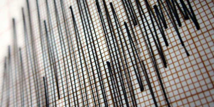 Foto: Shutterstock.com/menur