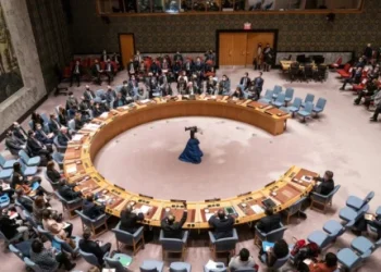 Foto: Shutterstock.com/lev radin