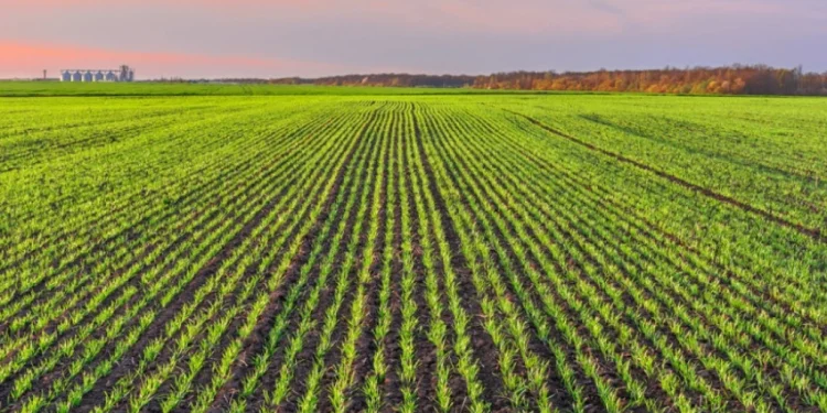 Foto: Shutterstock.com/Liubomyr Tryhubyshyn, ilustracija