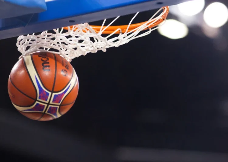 Foto: shutterstock.com/Melinda Nagy, ilustracija