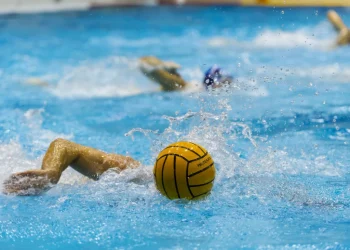 Foto: Shutterstock.com/BrunoRosa